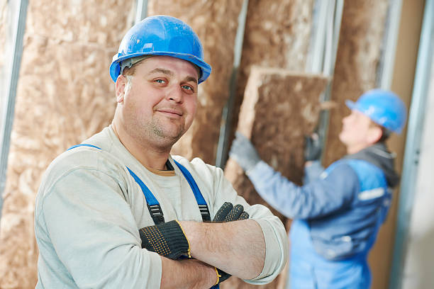 Best Energy Efficiency Solutions in Sunray, TX