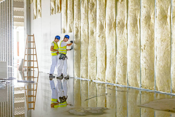 Best Insulation Maintenance and Repair in Sunray, TX